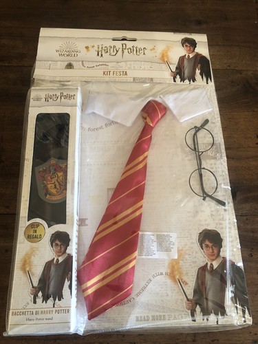 Libro harry potter - libro, festa