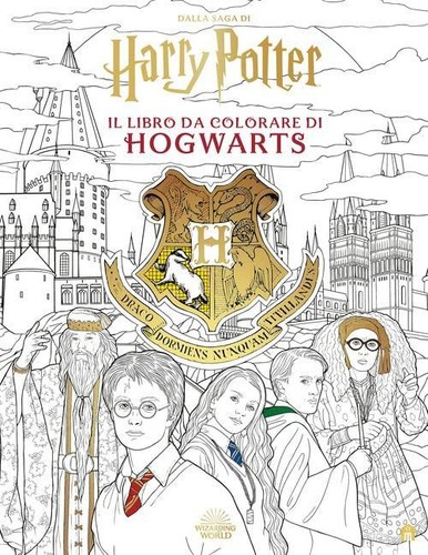 Harry potter libro - harry,