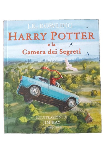 Libro harry potter camera - harry, la