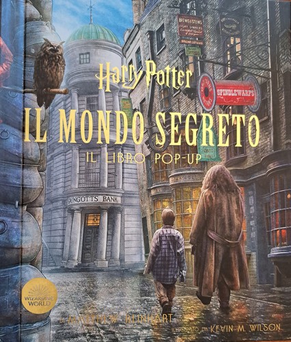 Harry potter mondo - harry, il