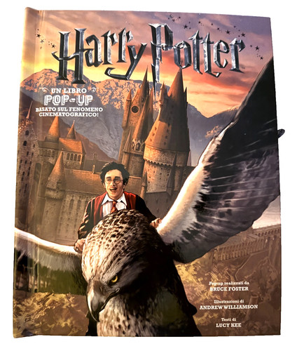 Harry potter libro pop - harry,